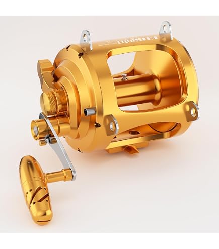 Amazon | Shimano Tiagra 80 WA Wide 2 Speed Offshore Multiplier